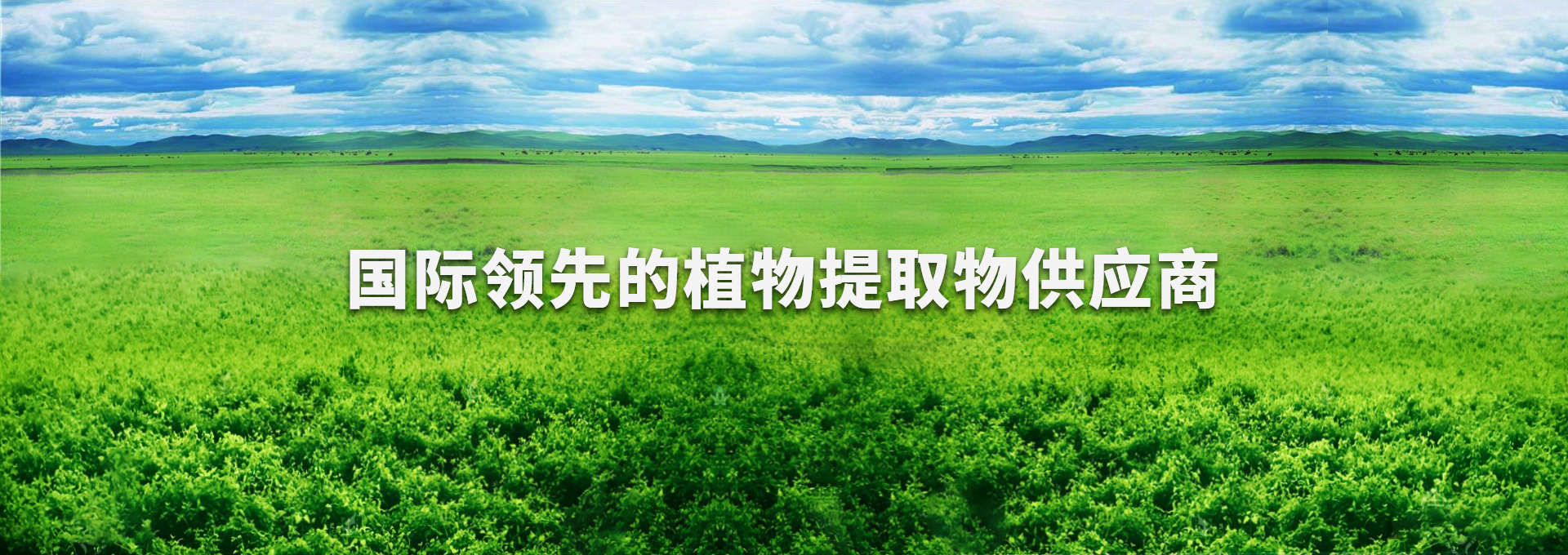PG国际-创造和传布娱乐领域的美好履历游戏平台