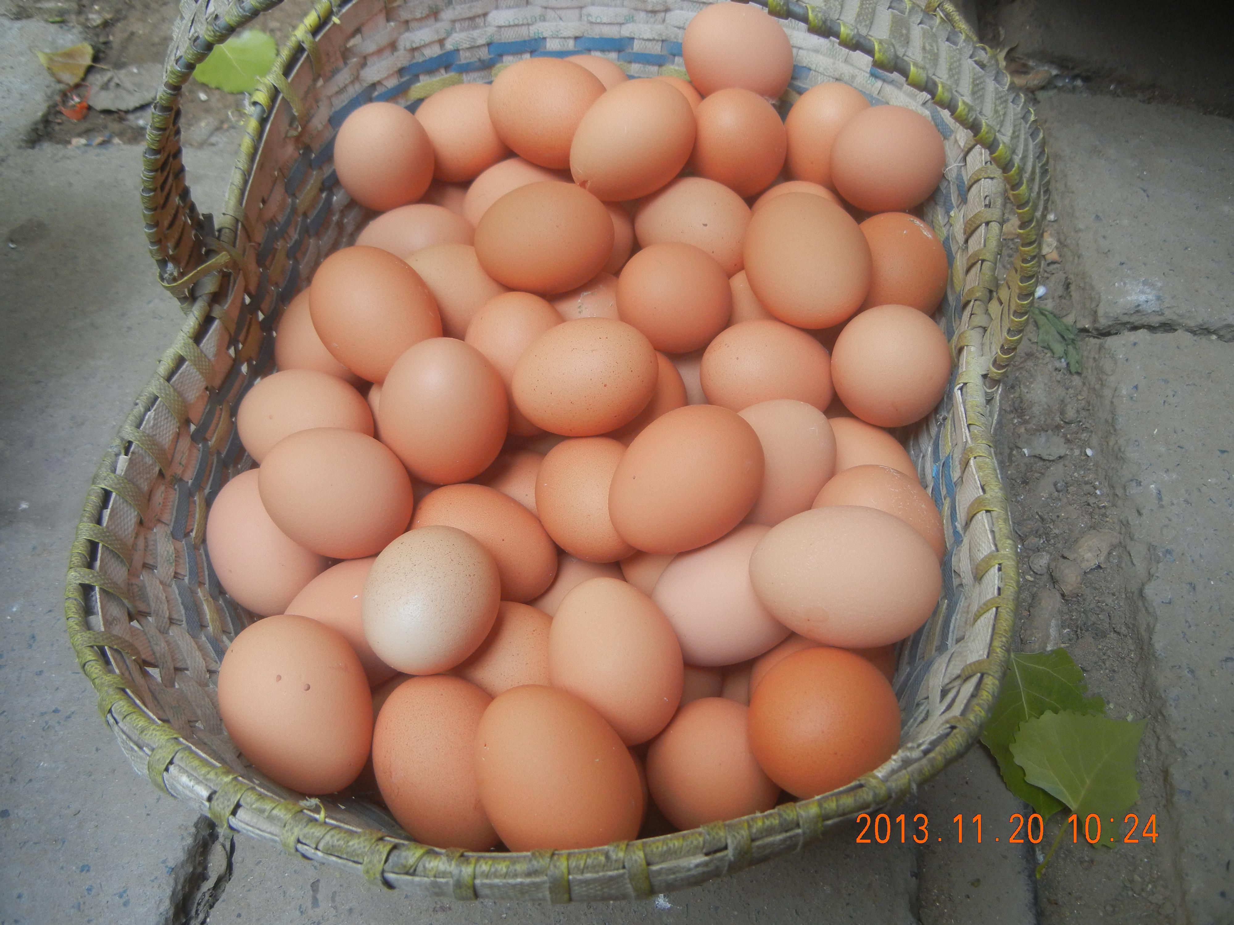 PG国际-创造和传布娱乐领域的美好履历游戏平台